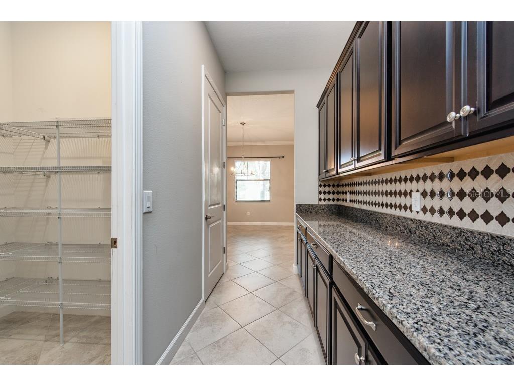 13315 Orca Sound Drive Riverview FL 33579 TB8427789 image11