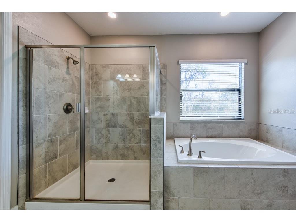 13315 Orca Sound Drive Riverview FL 33579 TB8427789 image23