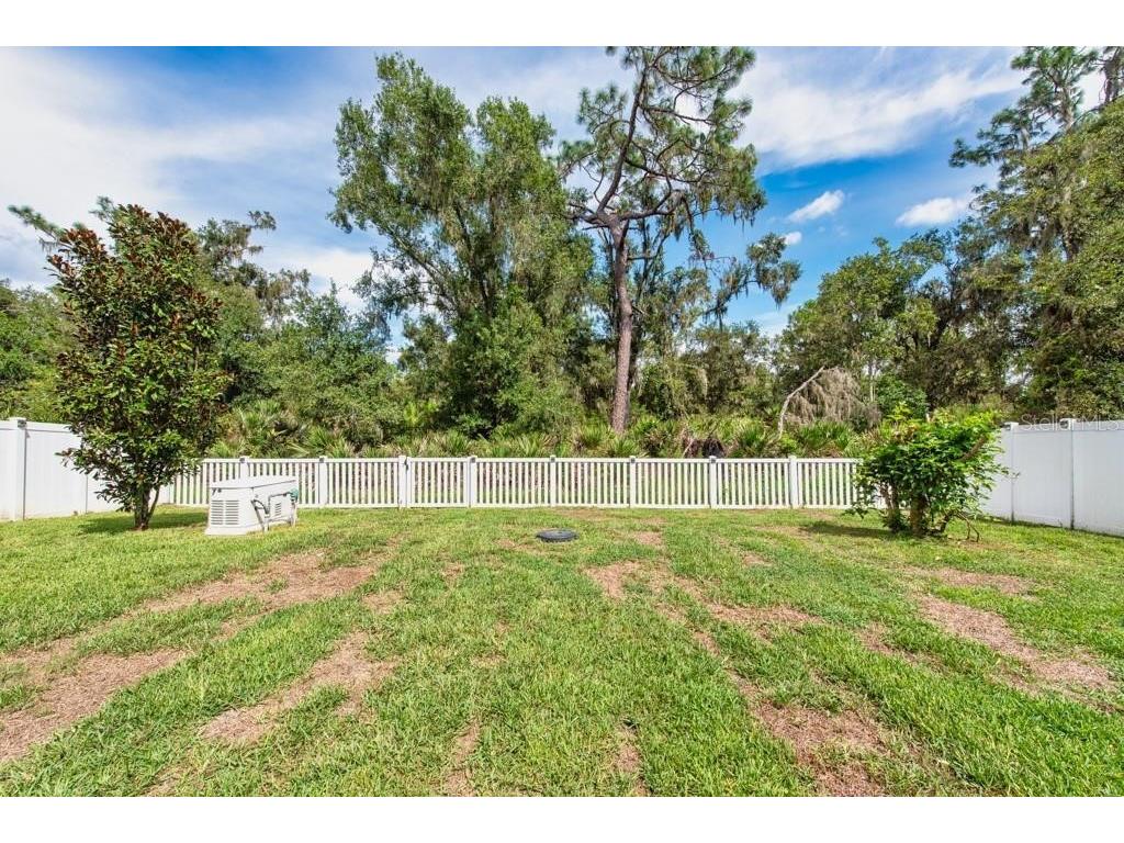 13315 Orca Sound Drive Riverview FL 33579 TB8427789 image34