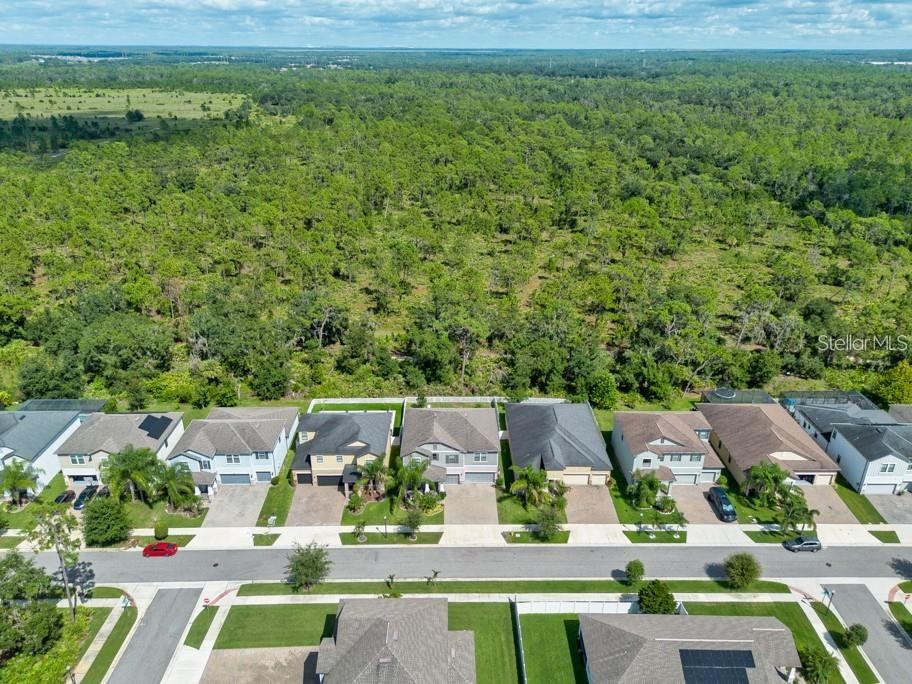 13315 Orca Sound Drive Riverview FL 33579 TB8427789 image40