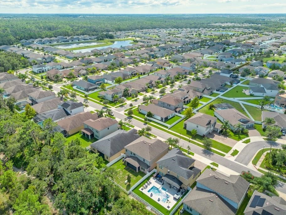 13315 Orca Sound Drive Riverview FL 33579 TB8427789 image43