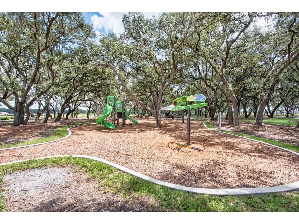 13315 Orca Sound Drive Riverview FL 33579 TB8427789 image51