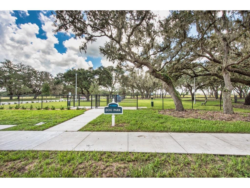 13315 Orca Sound Drive Riverview FL 33579 TB8427789 image53