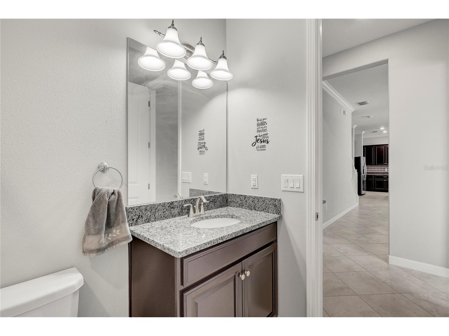 13315 Orca Sound Drive Riverview FL 33579 TB8487659 image30