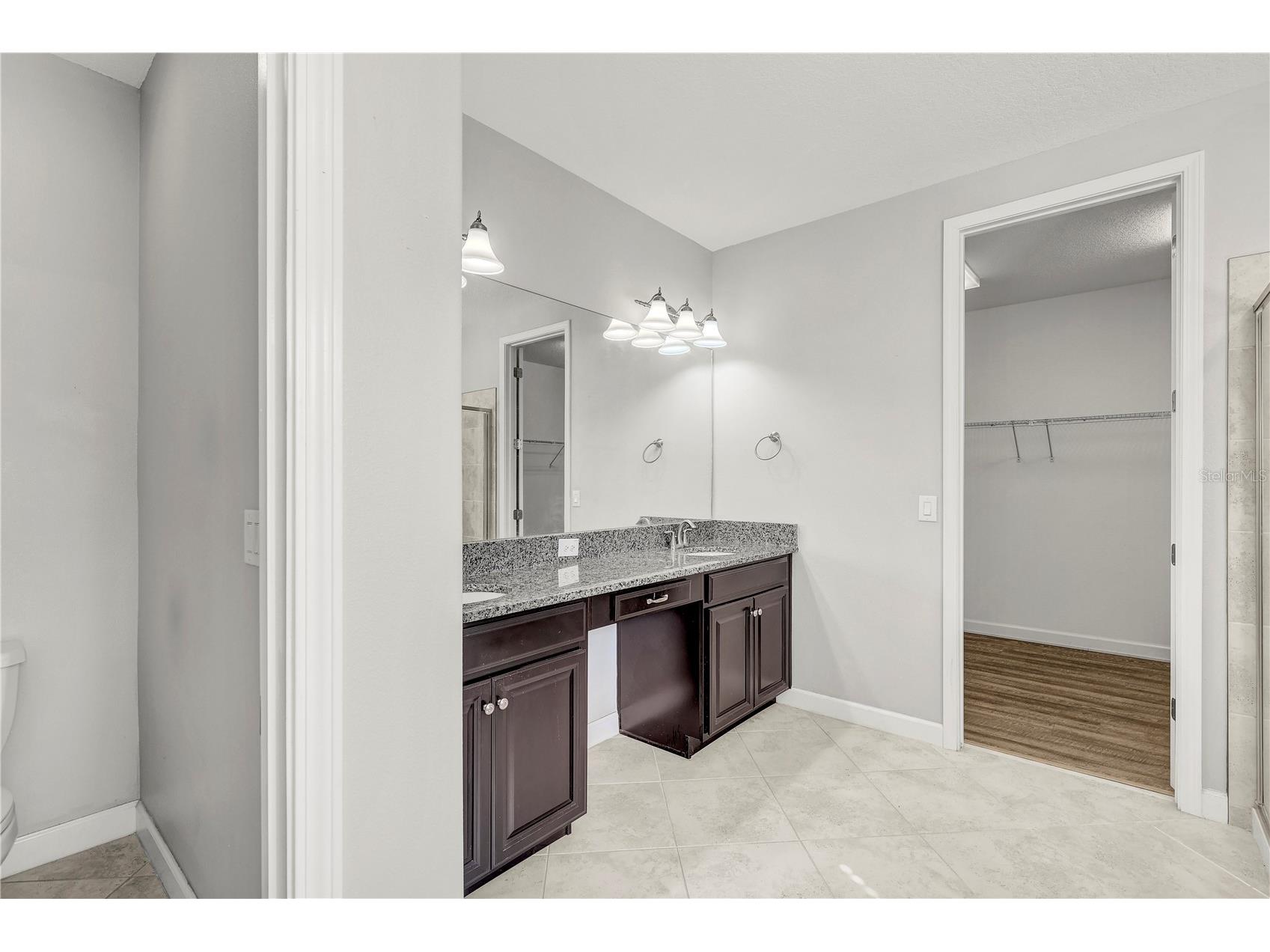 13315 Orca Sound Drive Riverview FL 33579 TB8487659 image39