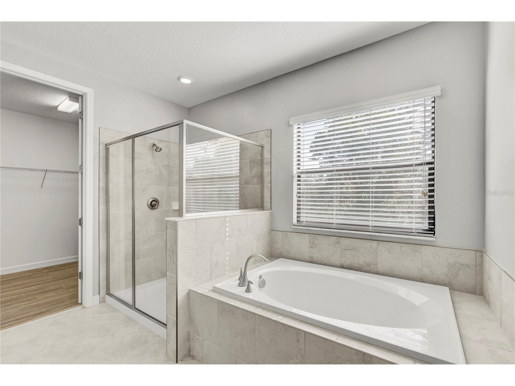 13315 Orca Sound Drive Riverview FL 33579 TB8487659 image40