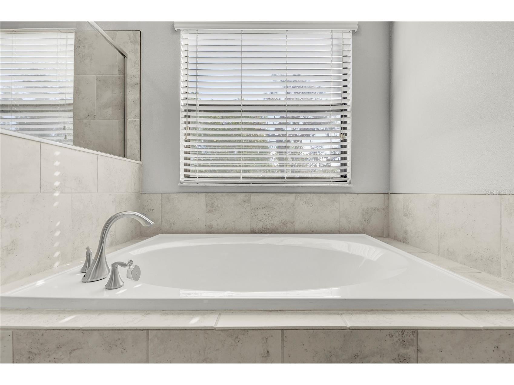 13315 Orca Sound Drive Riverview FL 33579 TB8487659 image41