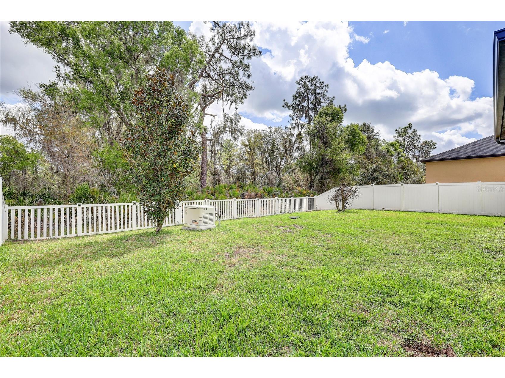 13315 Orca Sound Drive Riverview FL 33579 TB8487659 image60