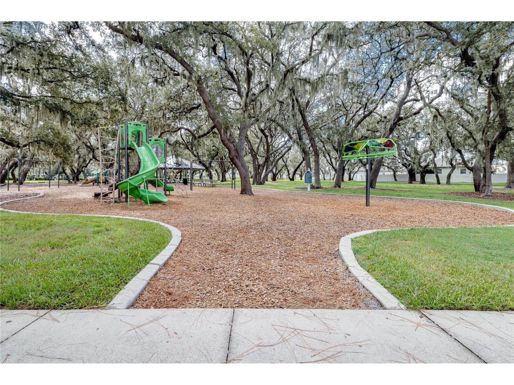 13315 Orca Sound Drive Riverview FL 33579 TB8487659 image69