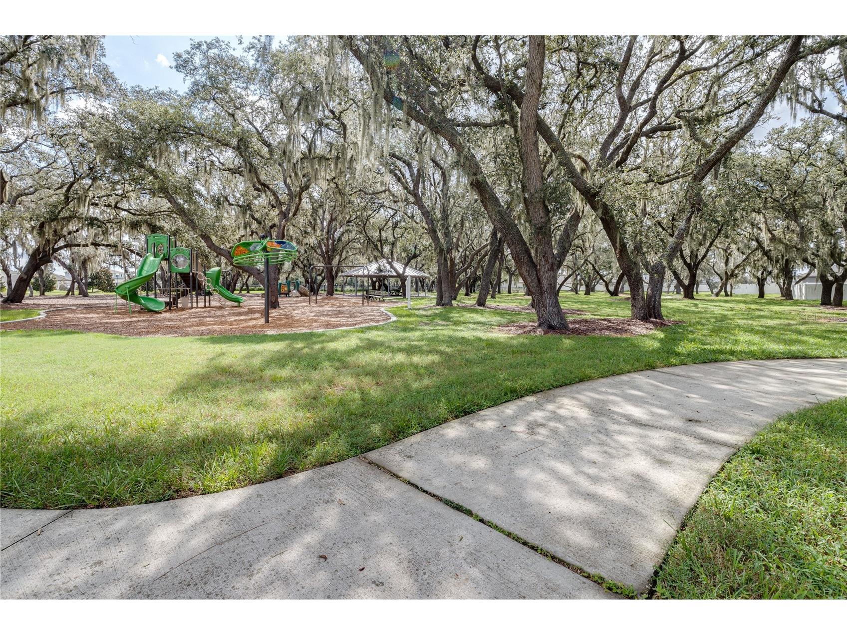 13315 Orca Sound Drive Riverview FL 33579 TB8487659 image70