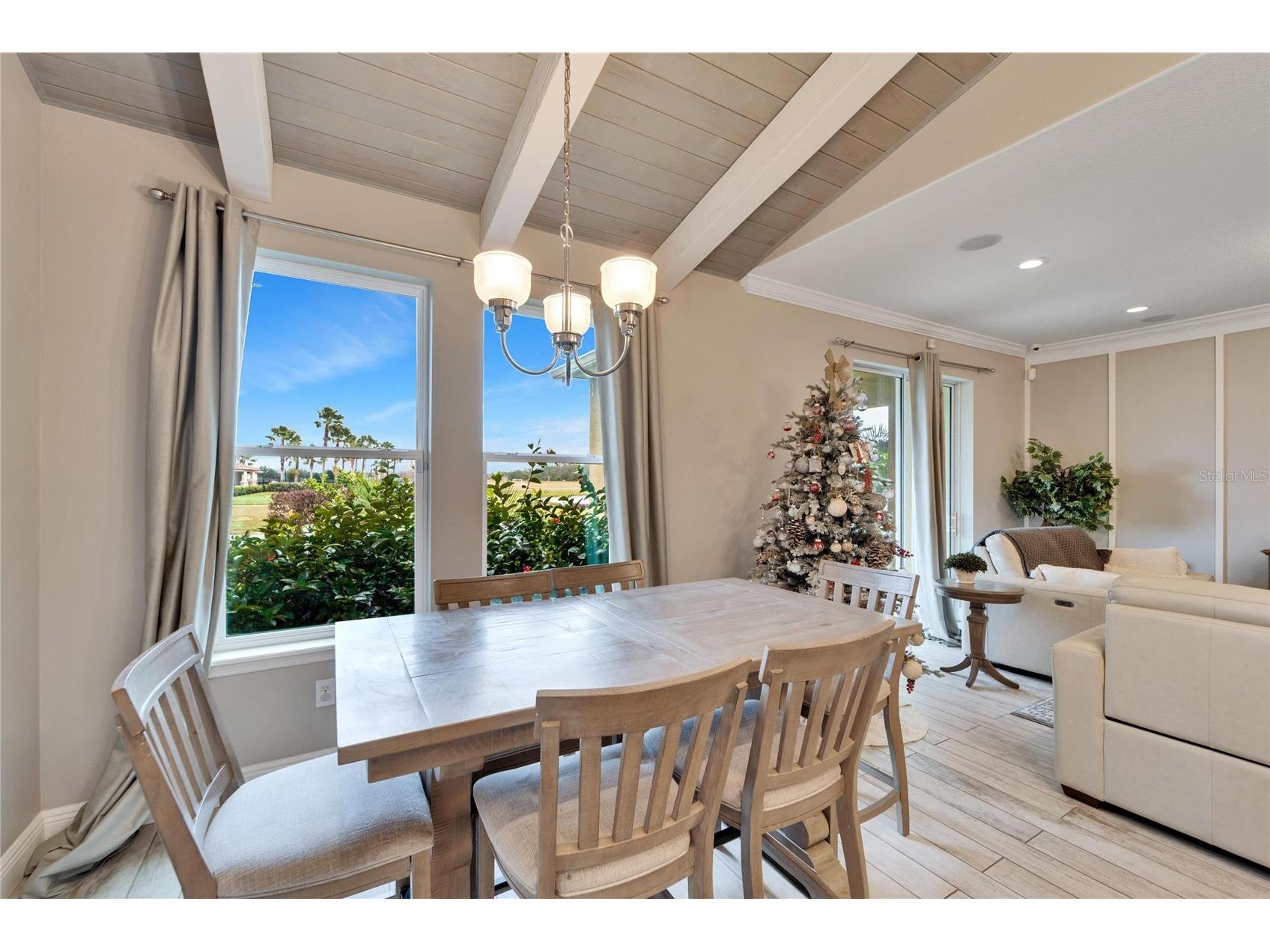 13316 Palmera Vista Drive Riverview FL 33579 TB8492981 image14