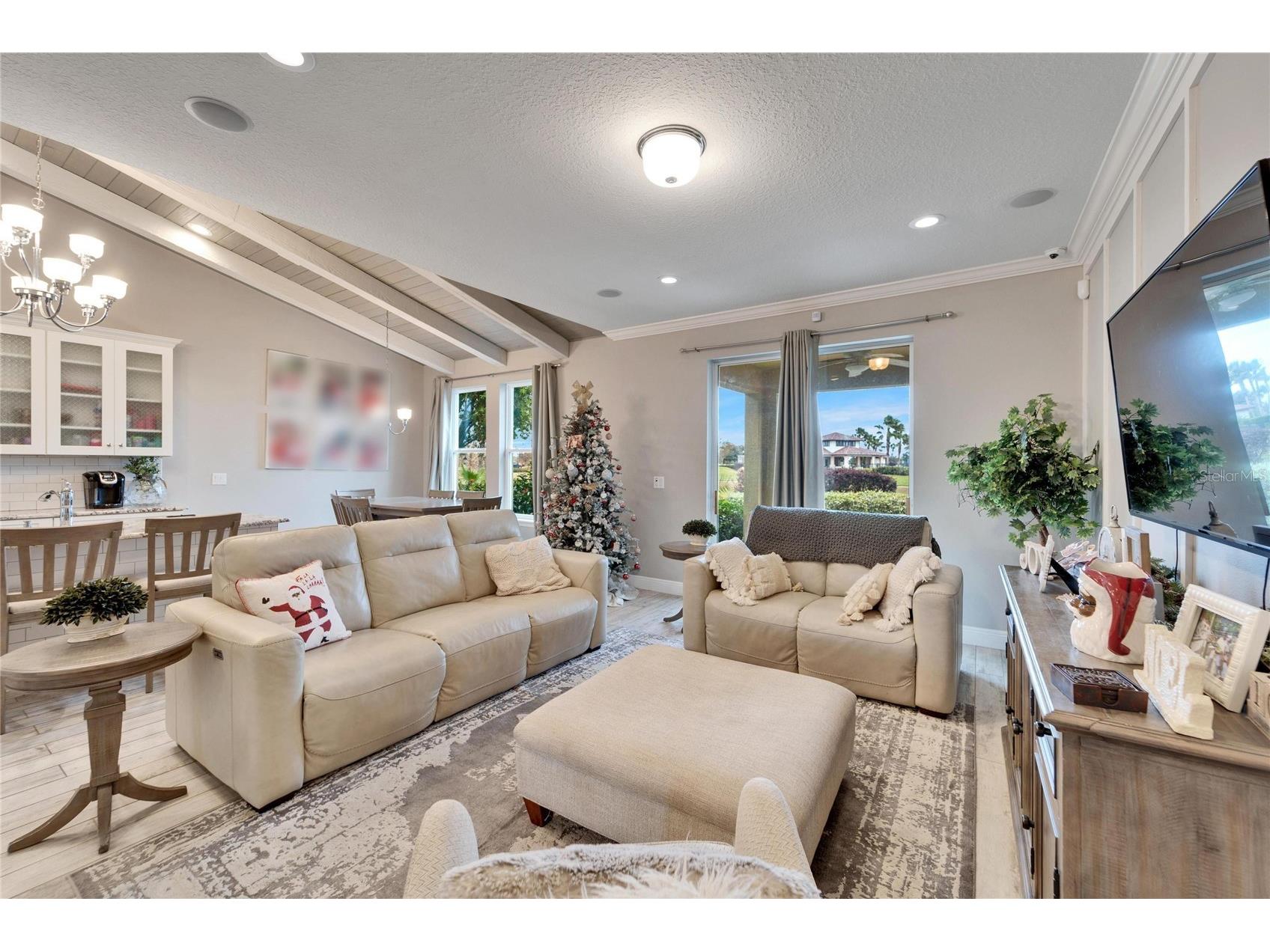 13316 Palmera Vista Drive Riverview FL 33579 TB8492981 image16