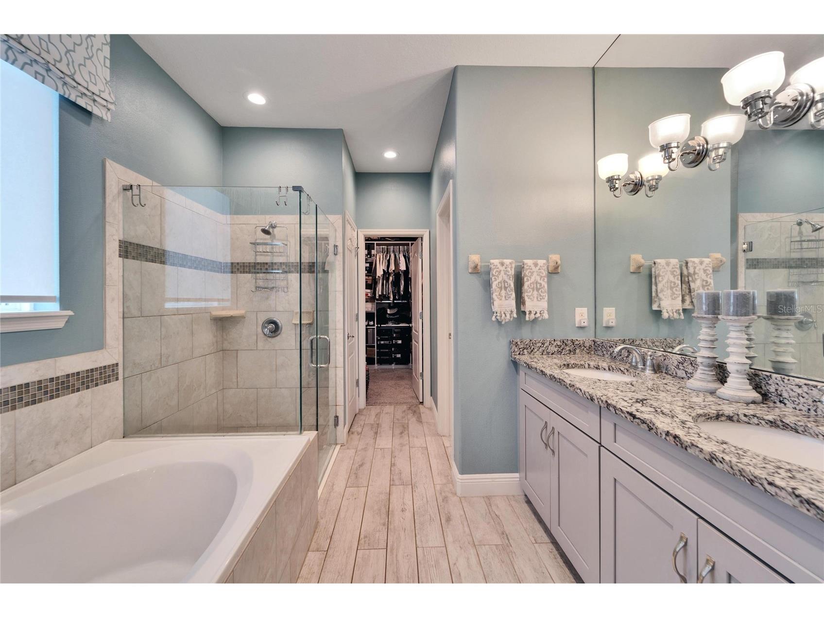 13316 Palmera Vista Drive Riverview FL 33579 TB8492981 image20