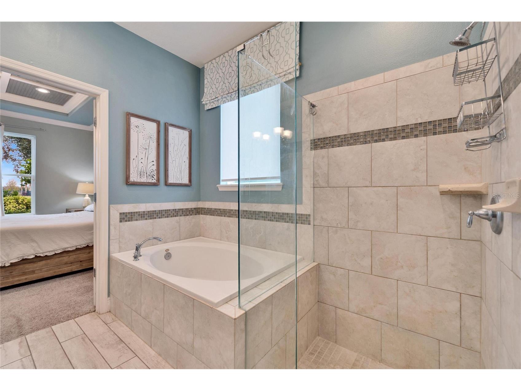 13316 Palmera Vista Drive Riverview FL 33579 TB8492981 image21