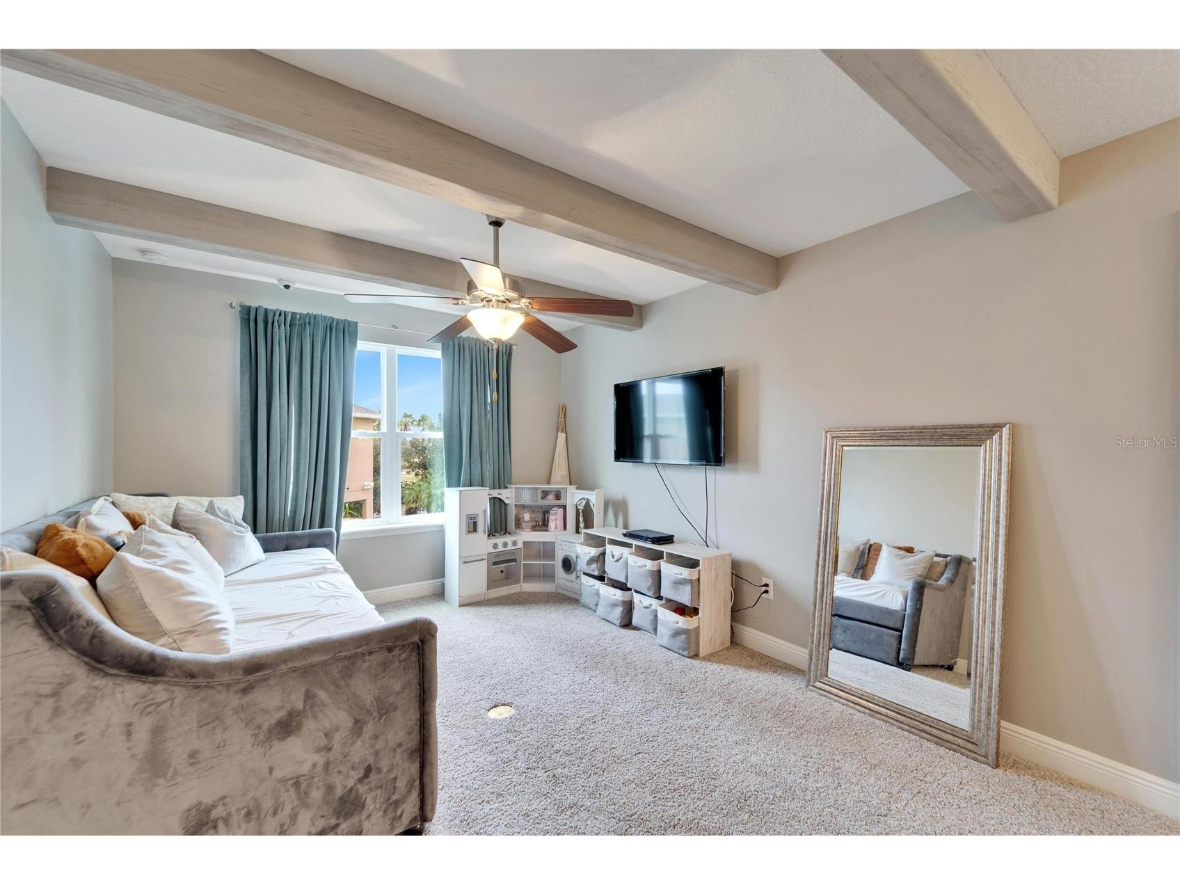 13316 Palmera Vista Drive Riverview FL 33579 TB8492981 image27