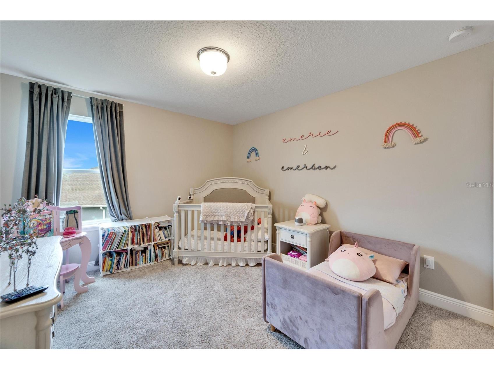 13316 Palmera Vista Drive Riverview FL 33579 TB8492981 image33