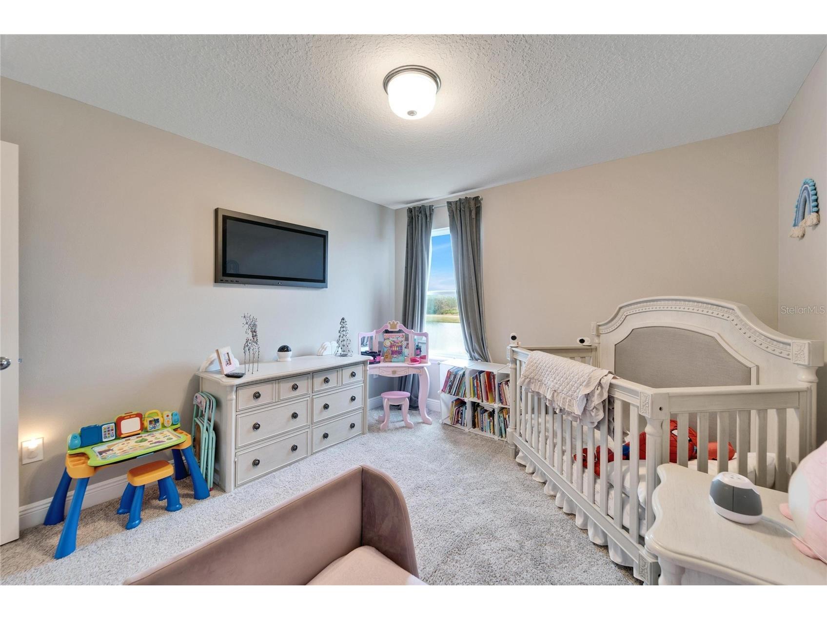 13316 Palmera Vista Drive Riverview FL 33579 TB8492981 image34