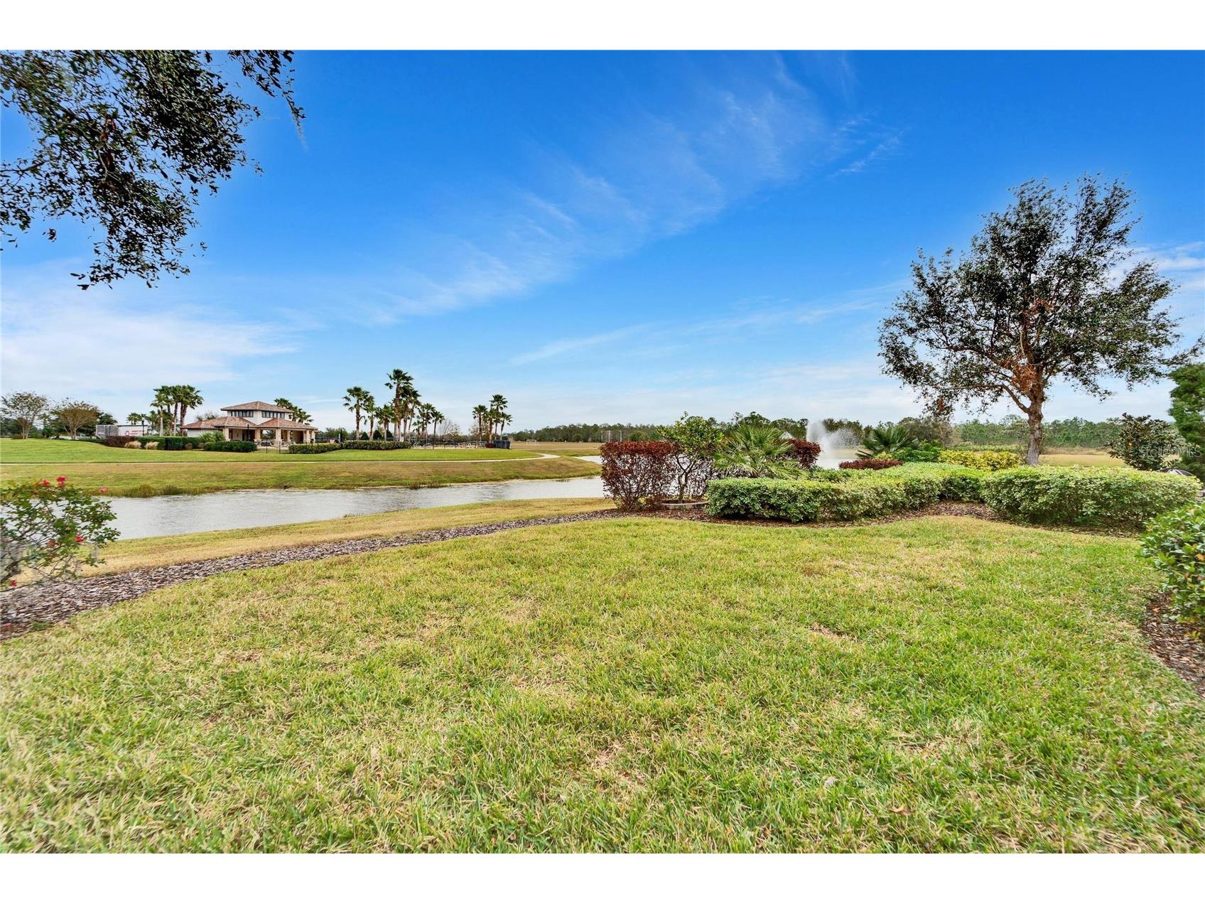 13316 Palmera Vista Drive Riverview FL 33579 TB8492981 image38