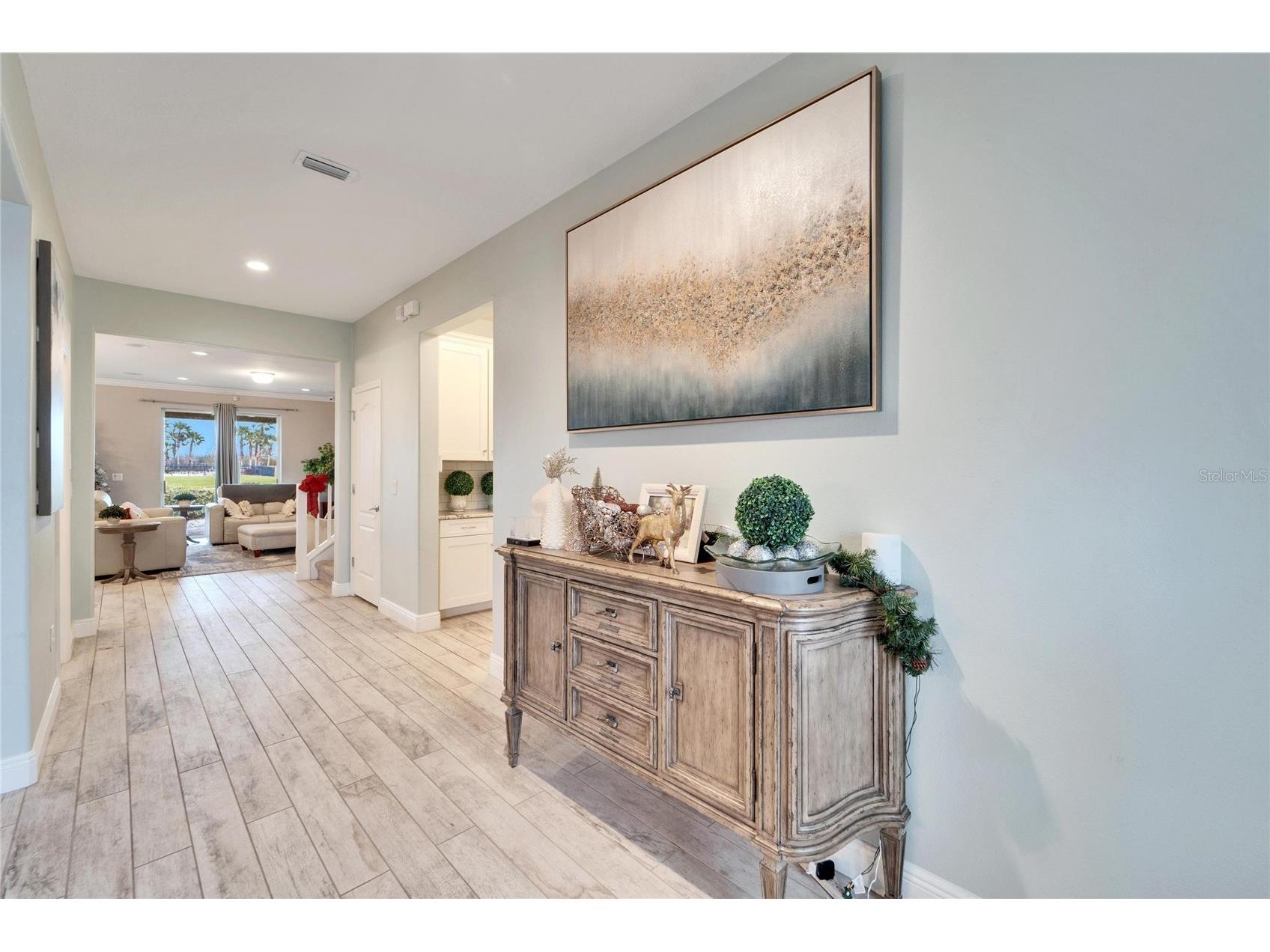 13316 Palmera Vista Drive Riverview FL 33579 TB8492981 image6