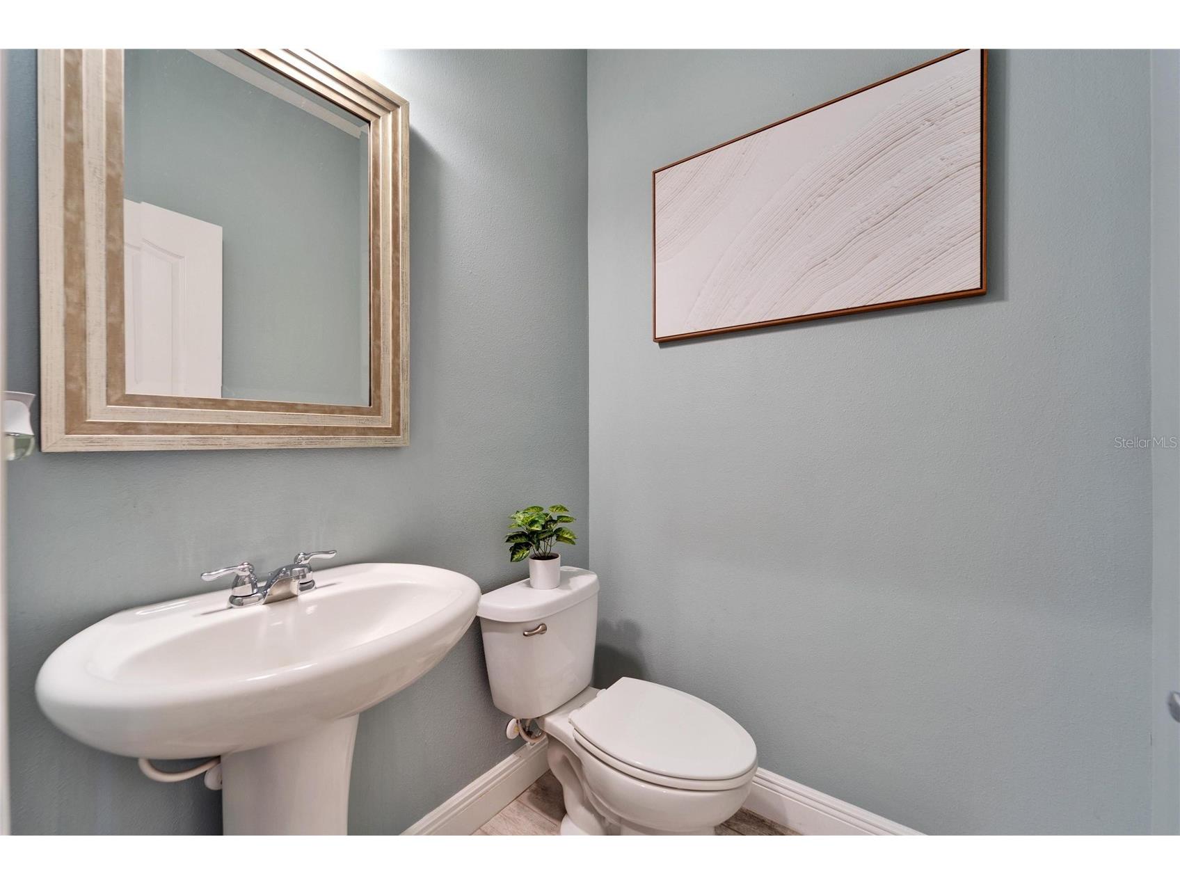 13316 Palmera Vista Drive Riverview FL 33579 TB8492981 image8