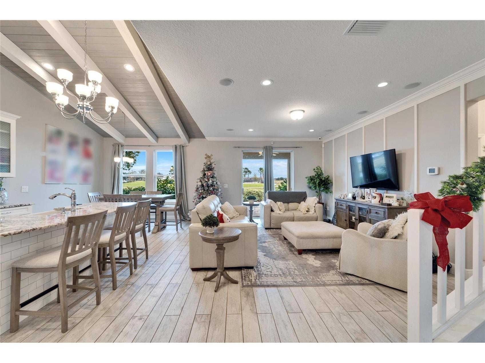 13316 Palmera Vista Drive Riverview FL 33579 TB8492981 image9