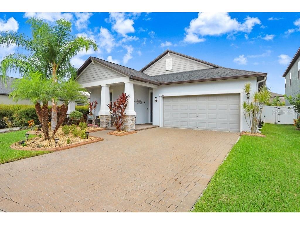 13316 Wildflower Meadow Drive Riverview FL 33579 T3547415 image1