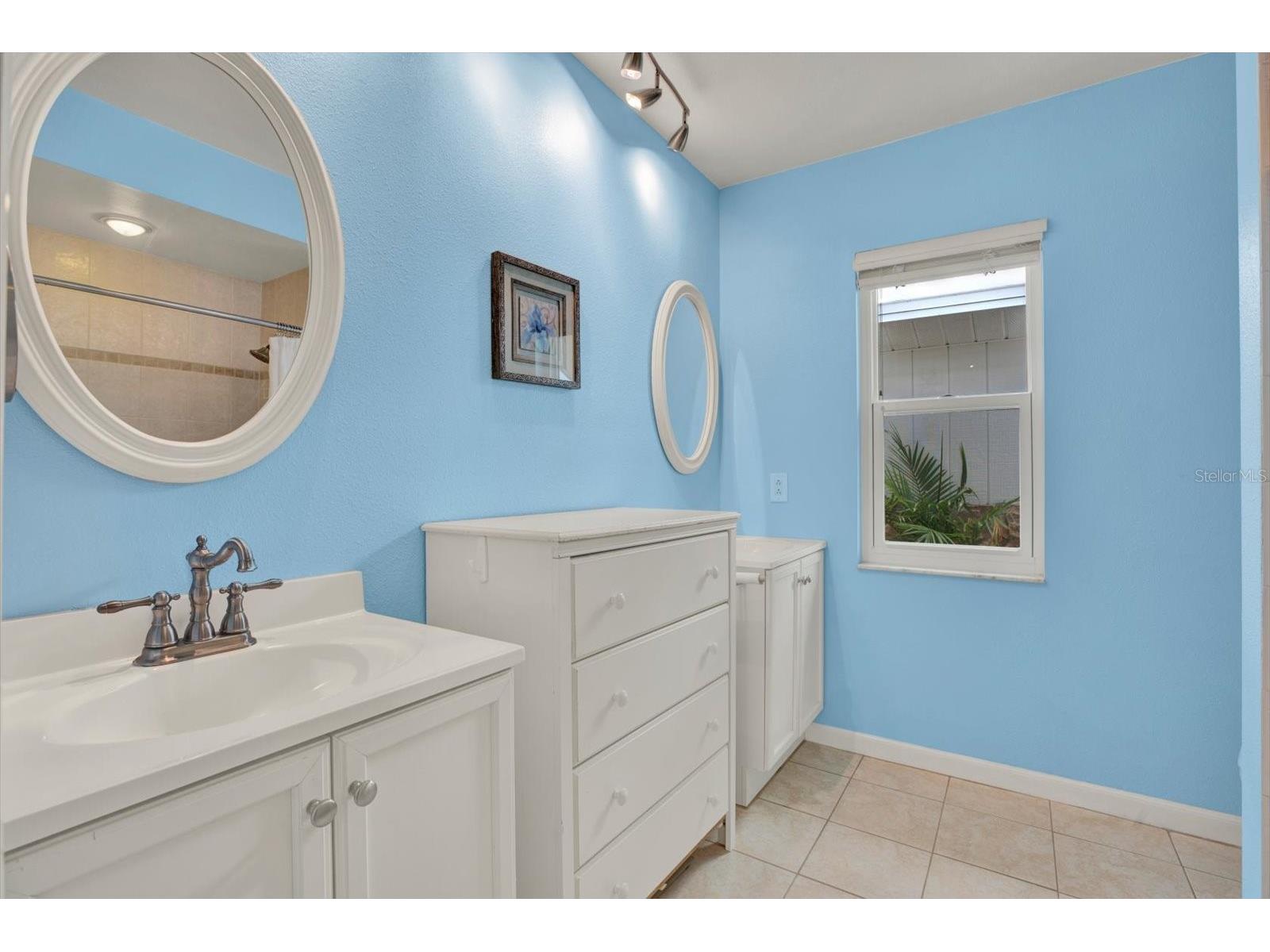 13117 Mink Run Drive Hudson FL 34669 TB8520614 image9