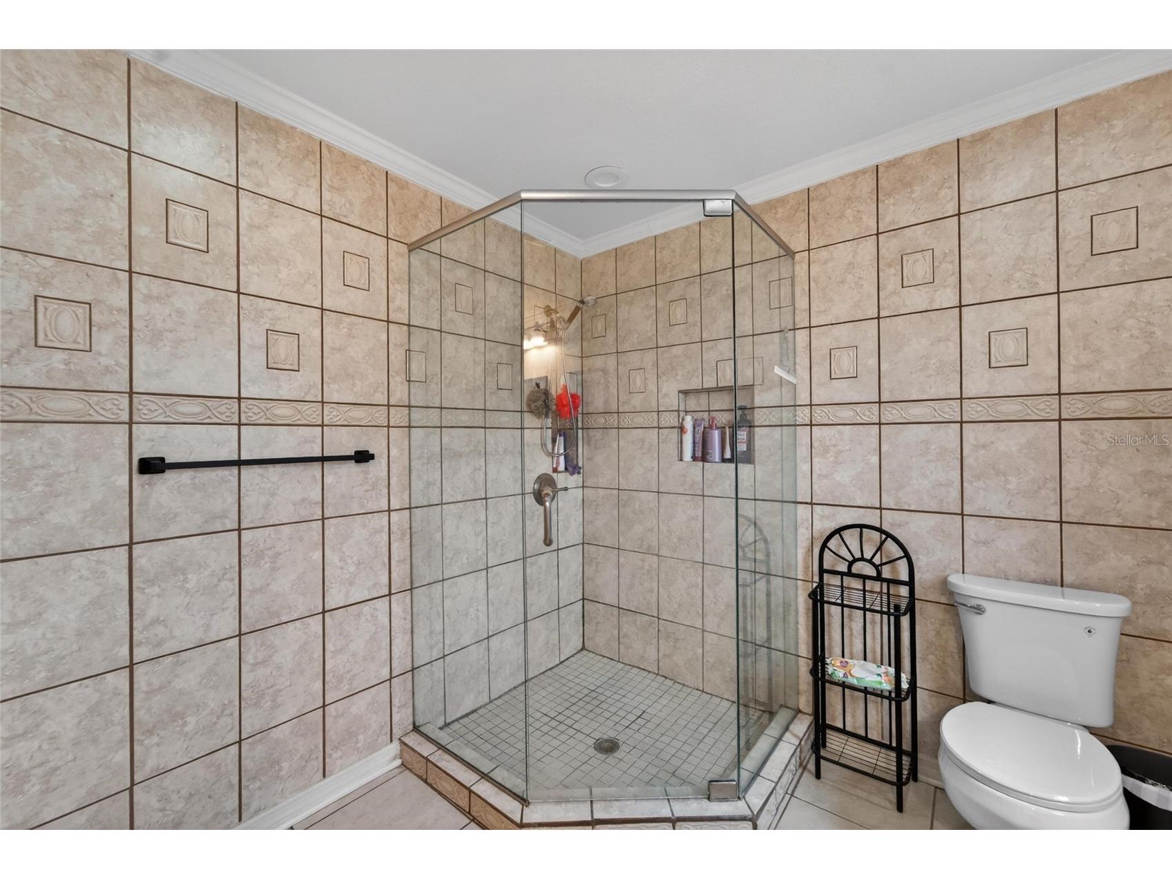13318 Hollowbend Lane Riverview FL 33569 TB8509945 image59