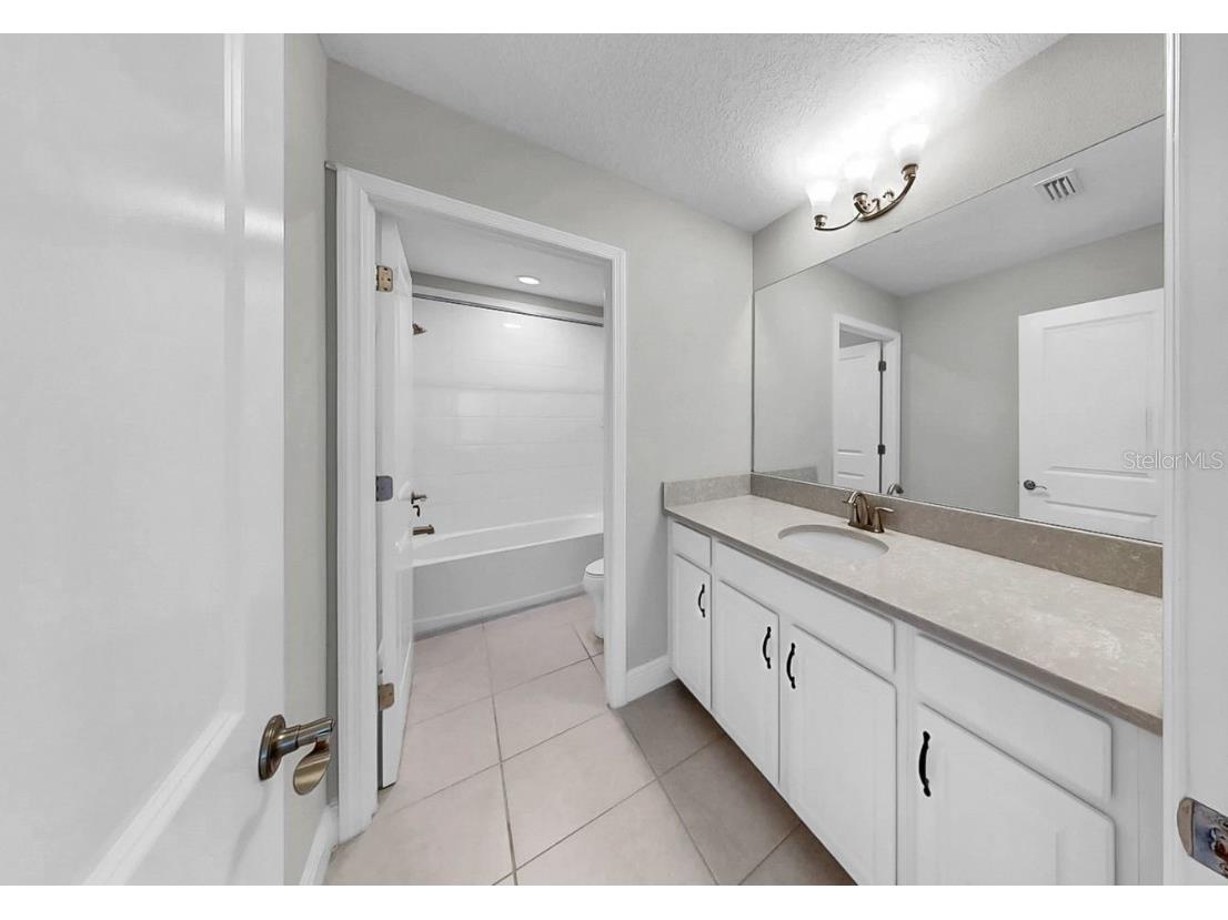 13319 Dorado Shores Avenue Riverview FL 33579 TB8423810 image39