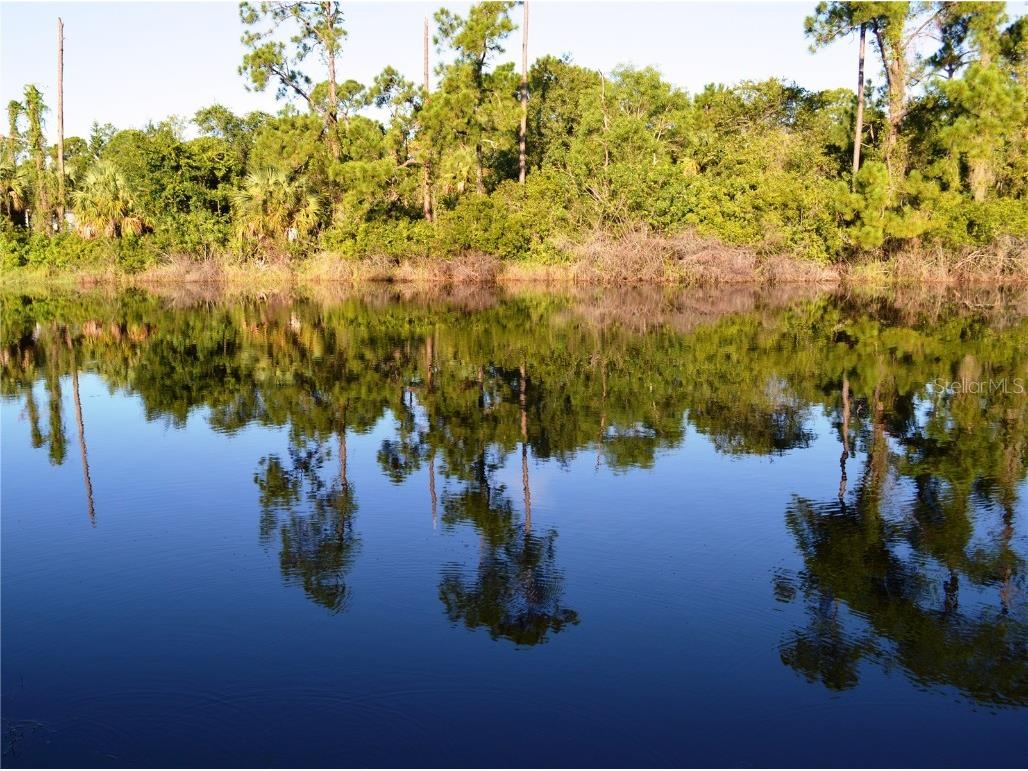 13319 Sulky Drive Punta Gorda FL 33955 C7447039 image1