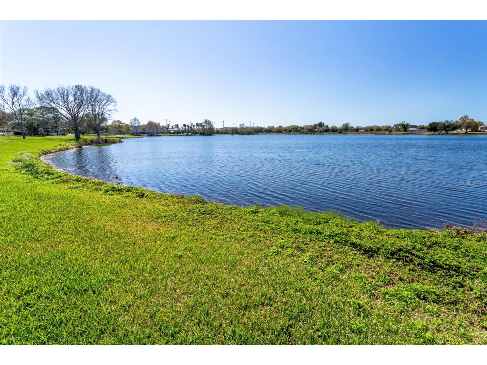 1332/1334 Tioga Avenue Clearwater FL 33756 TB8489600 image25