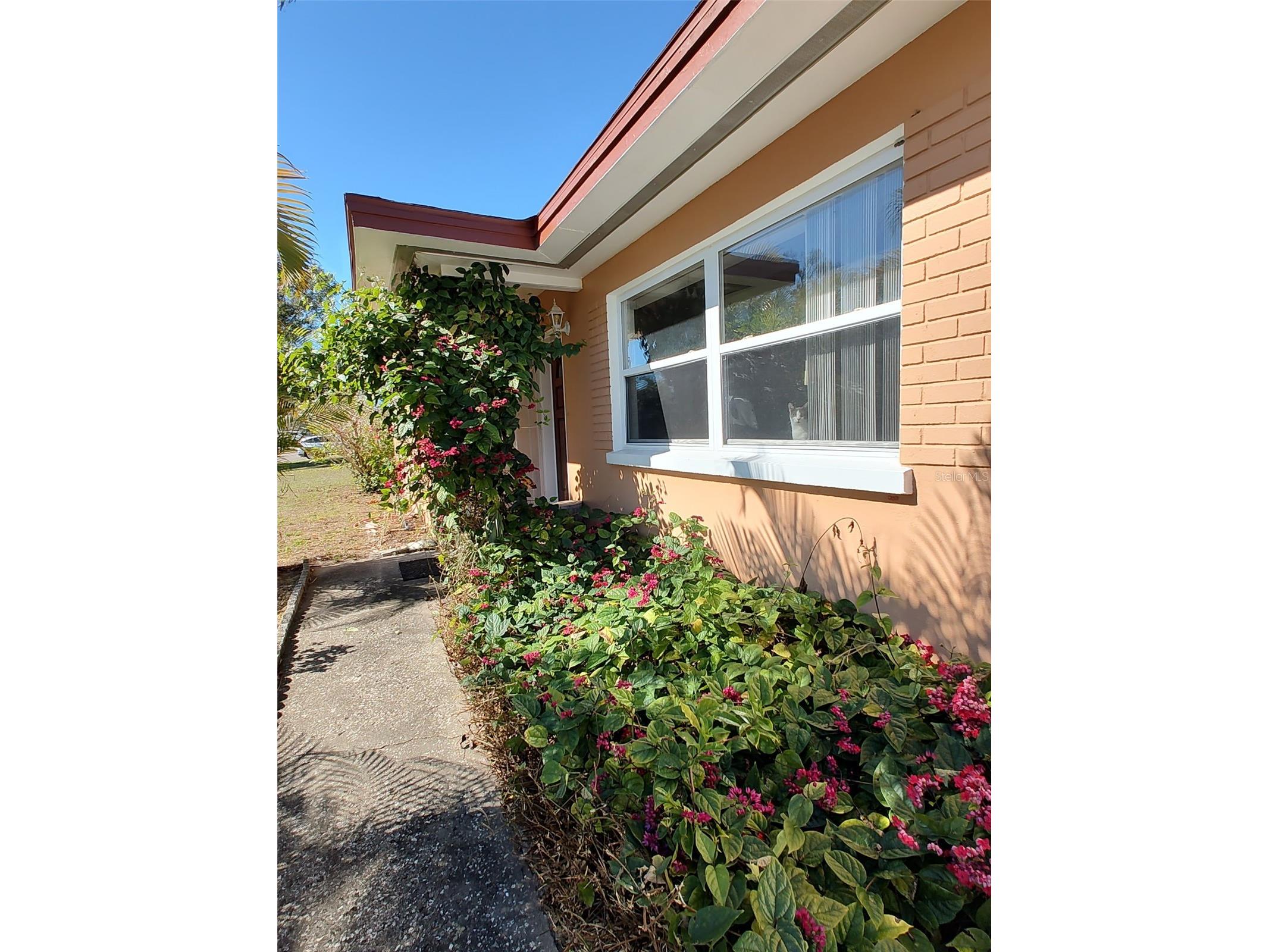 1332 Buckingham Drive Clearwater FL 33756 TB8466177 image2