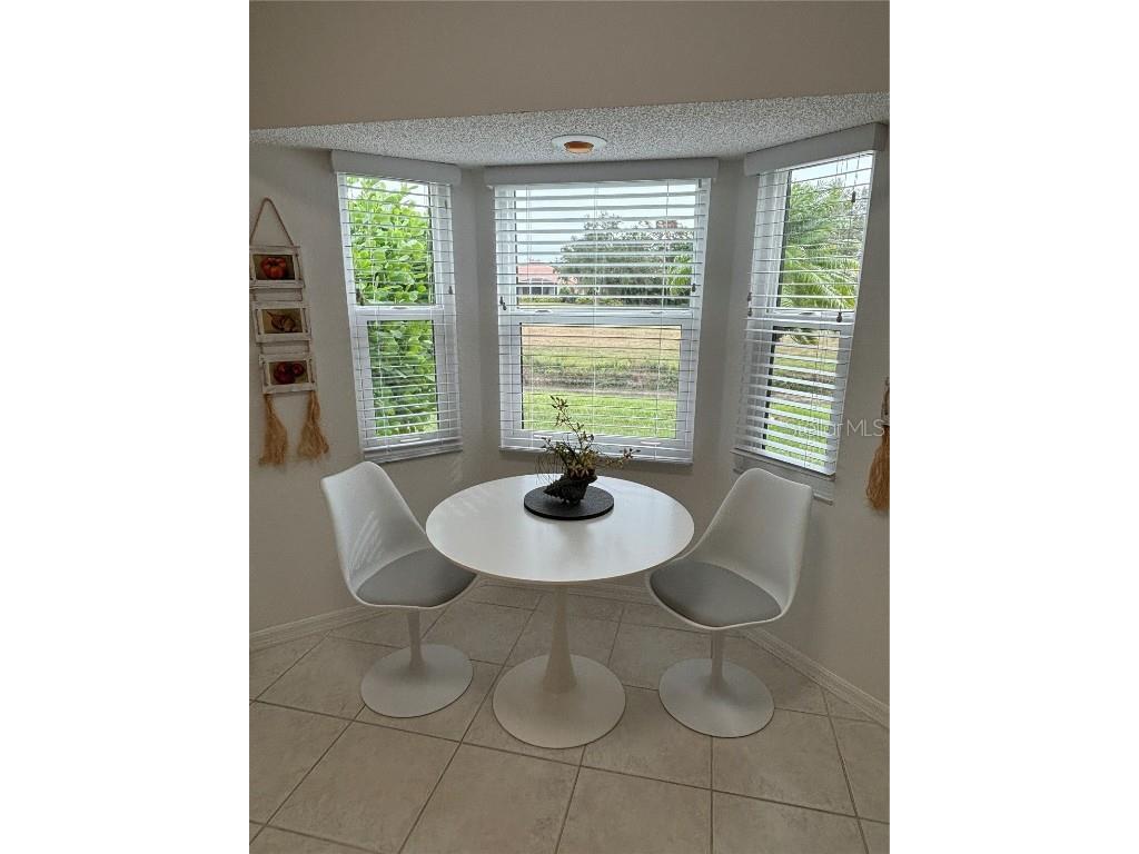 1332 Capri Isles Boulevard Venice FL 34292 N5773073 image4