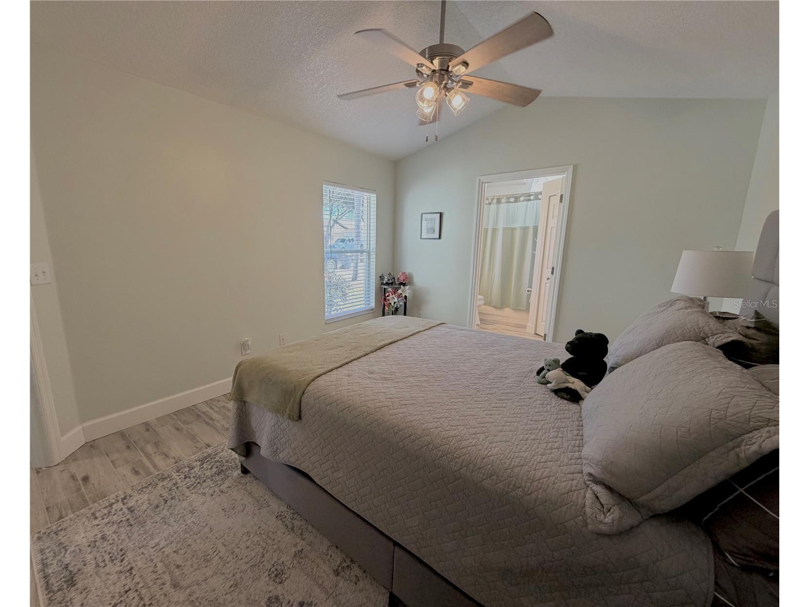 1332 Dew Bloom Road Valrico FL 33594 P4937931 image11