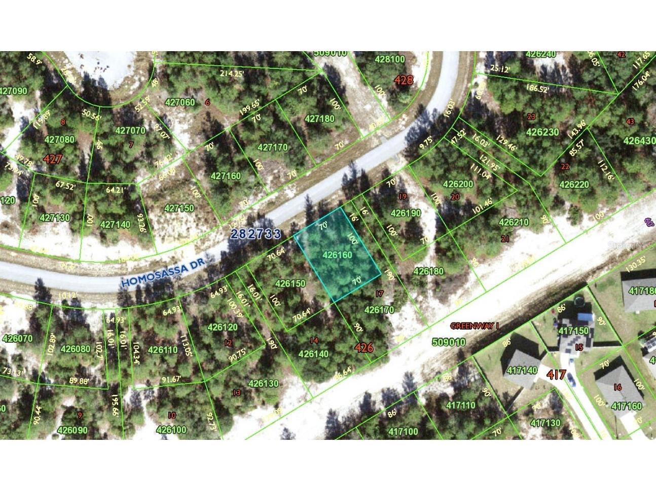1332 Homosassa Drive Poinciana FL 34759 O6198648 image1