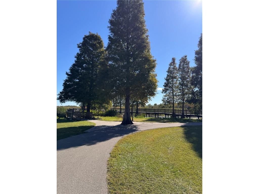 1332 Jaffa Street Lakeland FL 33801 L4955631 image31