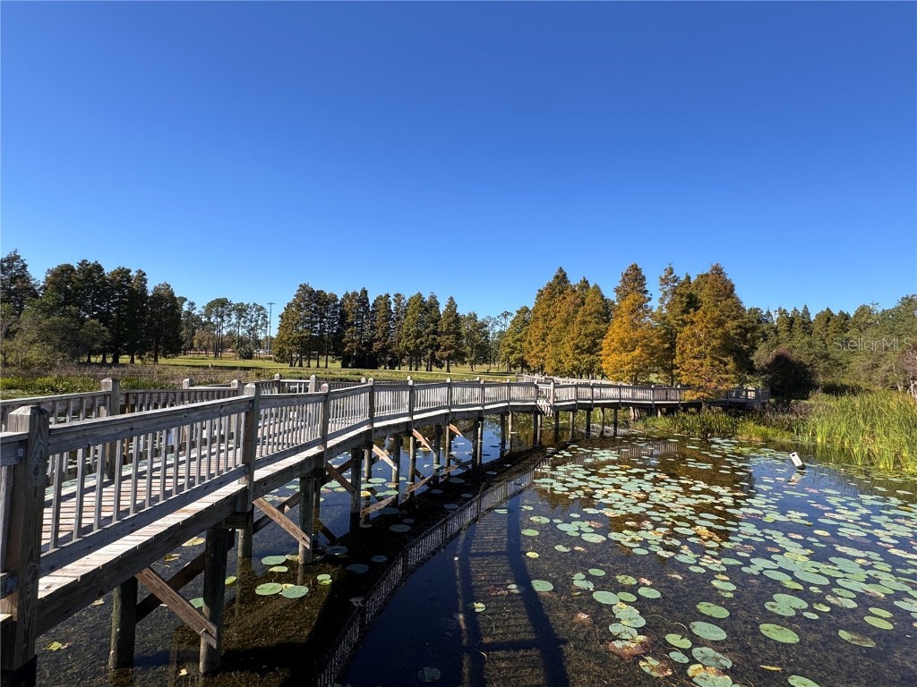 1332 Jaffa Street Lakeland FL 33801 L4955631 image32