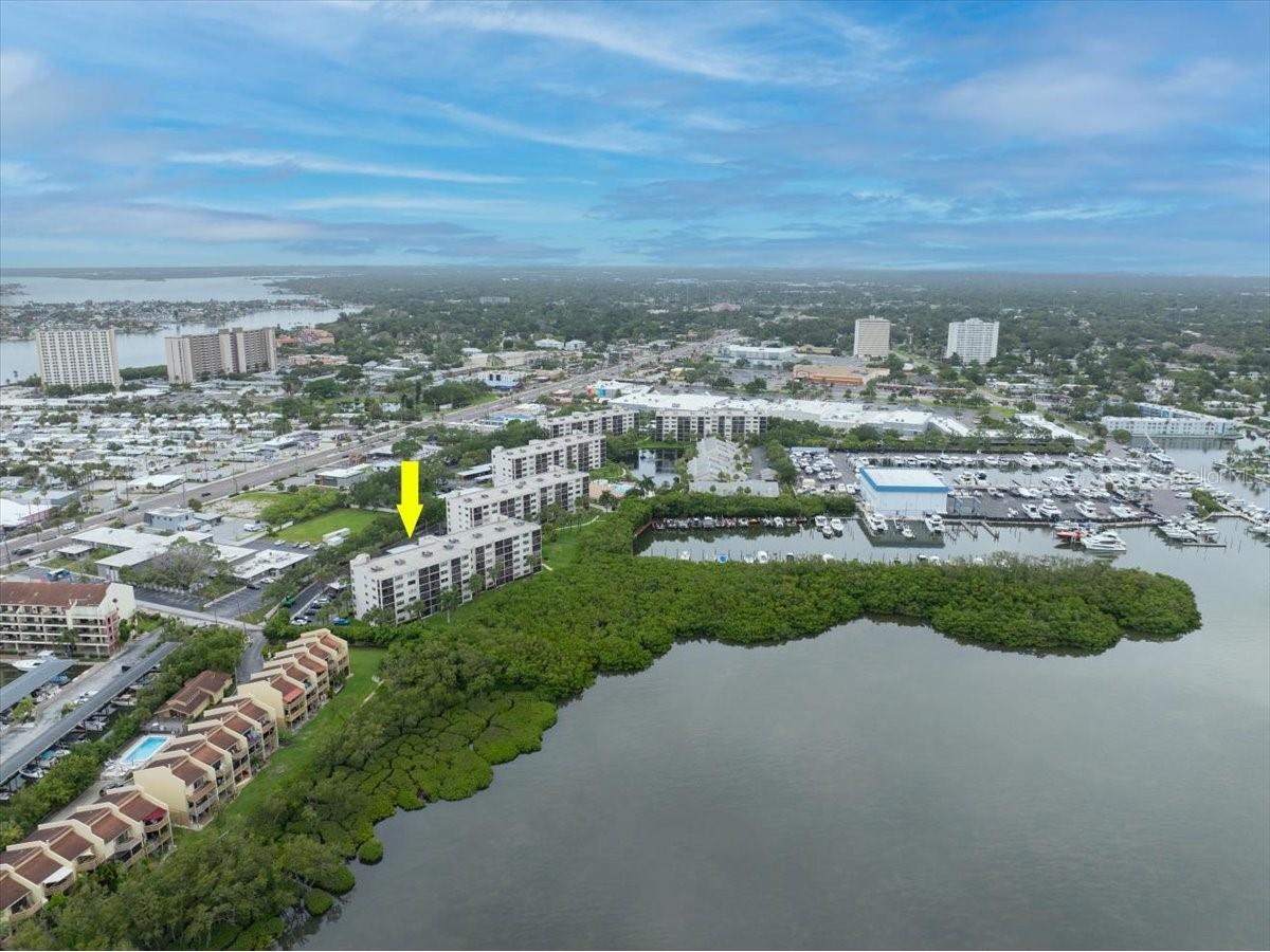 1332 Pasadena #102 South Pasadena FL 33707 TB8515864 image46