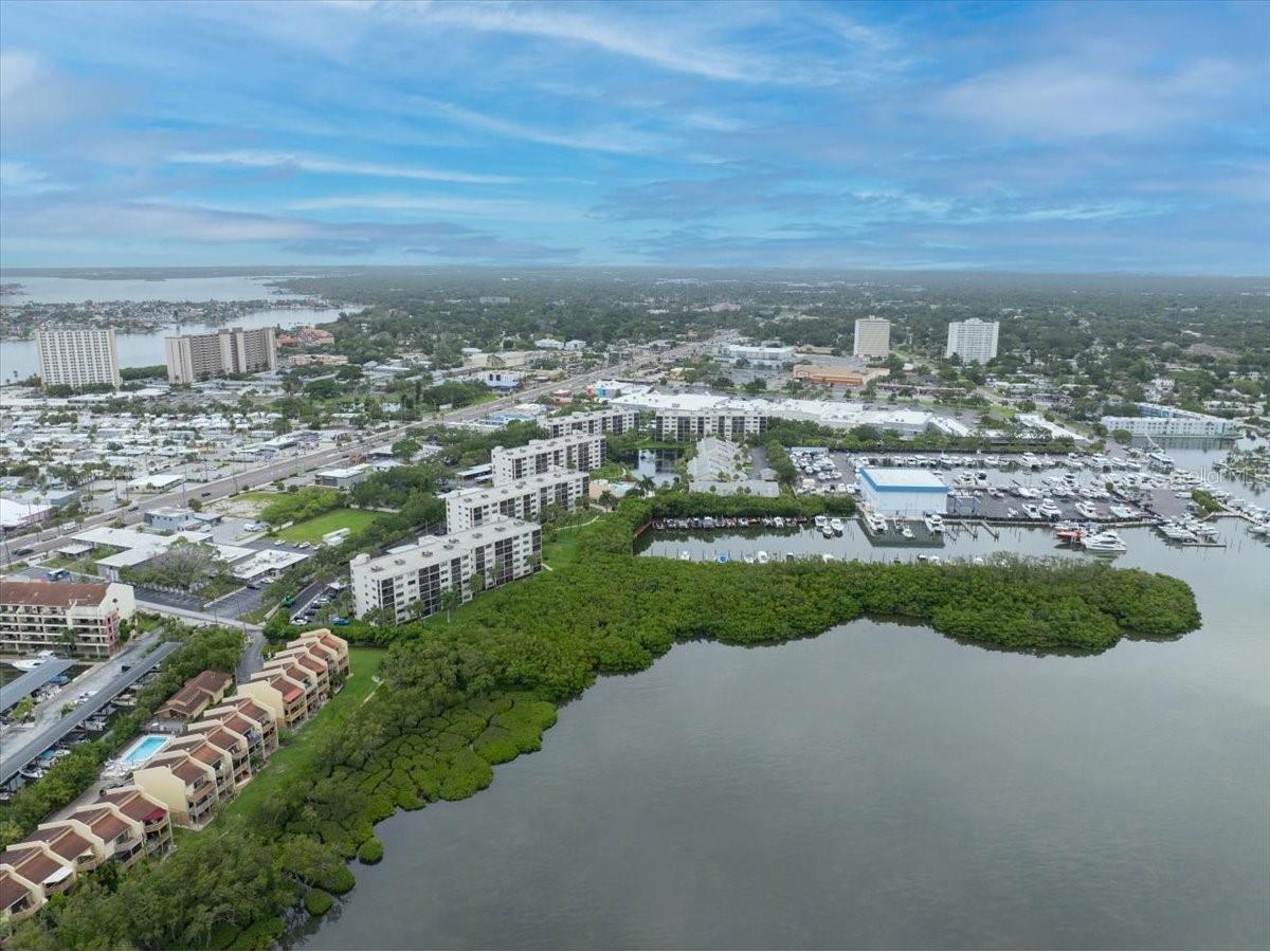 1332 Pasadena #102 South Pasadena FL 33707 TB8515864 image47