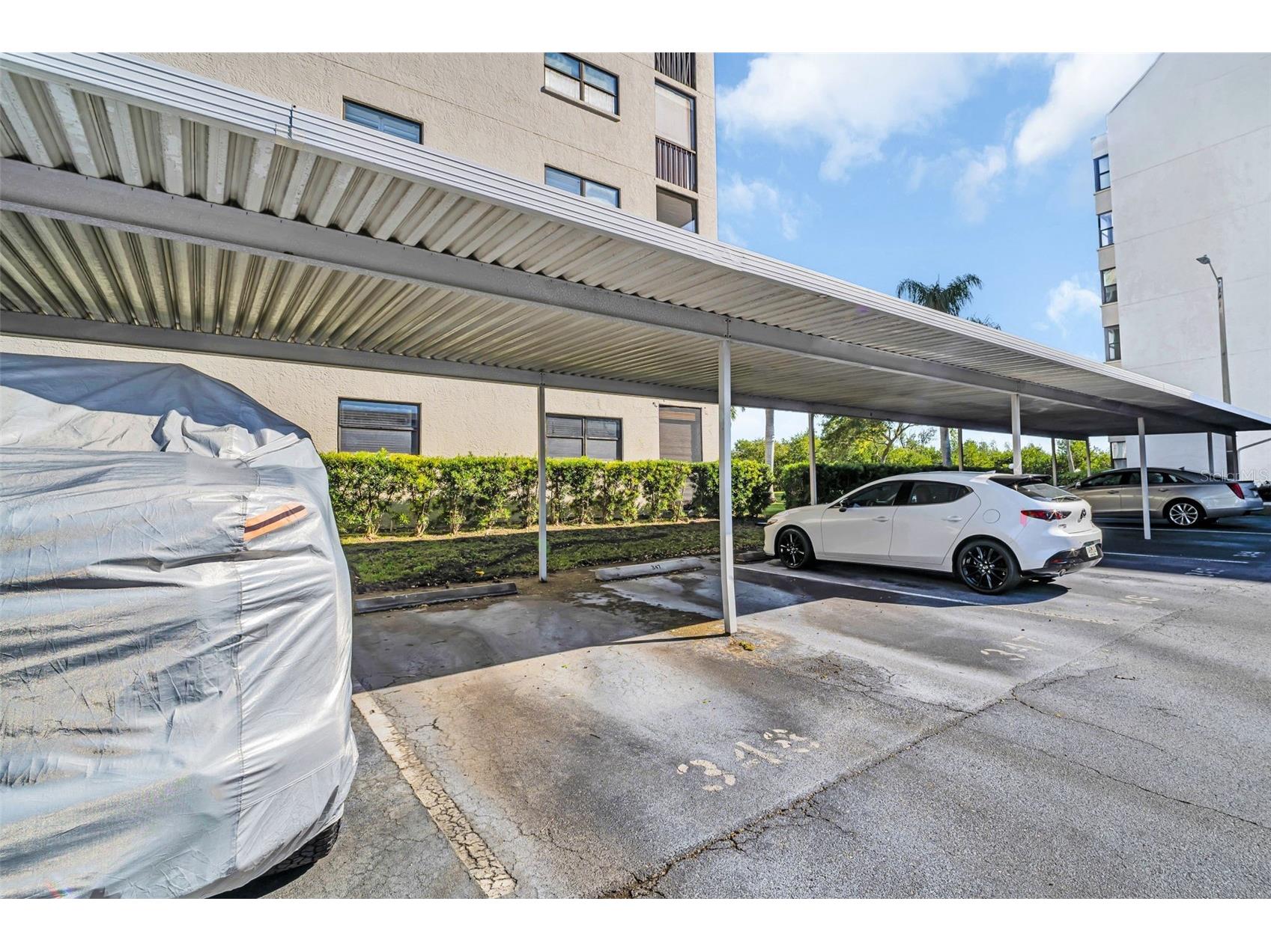 1332 Pasadena Avenue S #205 South Pasadena FL 33707 - BOCA CIEGA BAY TB8463714 image32