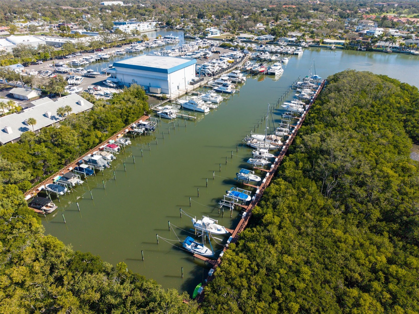 1332 Pasadena Avenue S #205 South Pasadena FL 33707 - BOCA CIEGA BAY TB8463714 image5