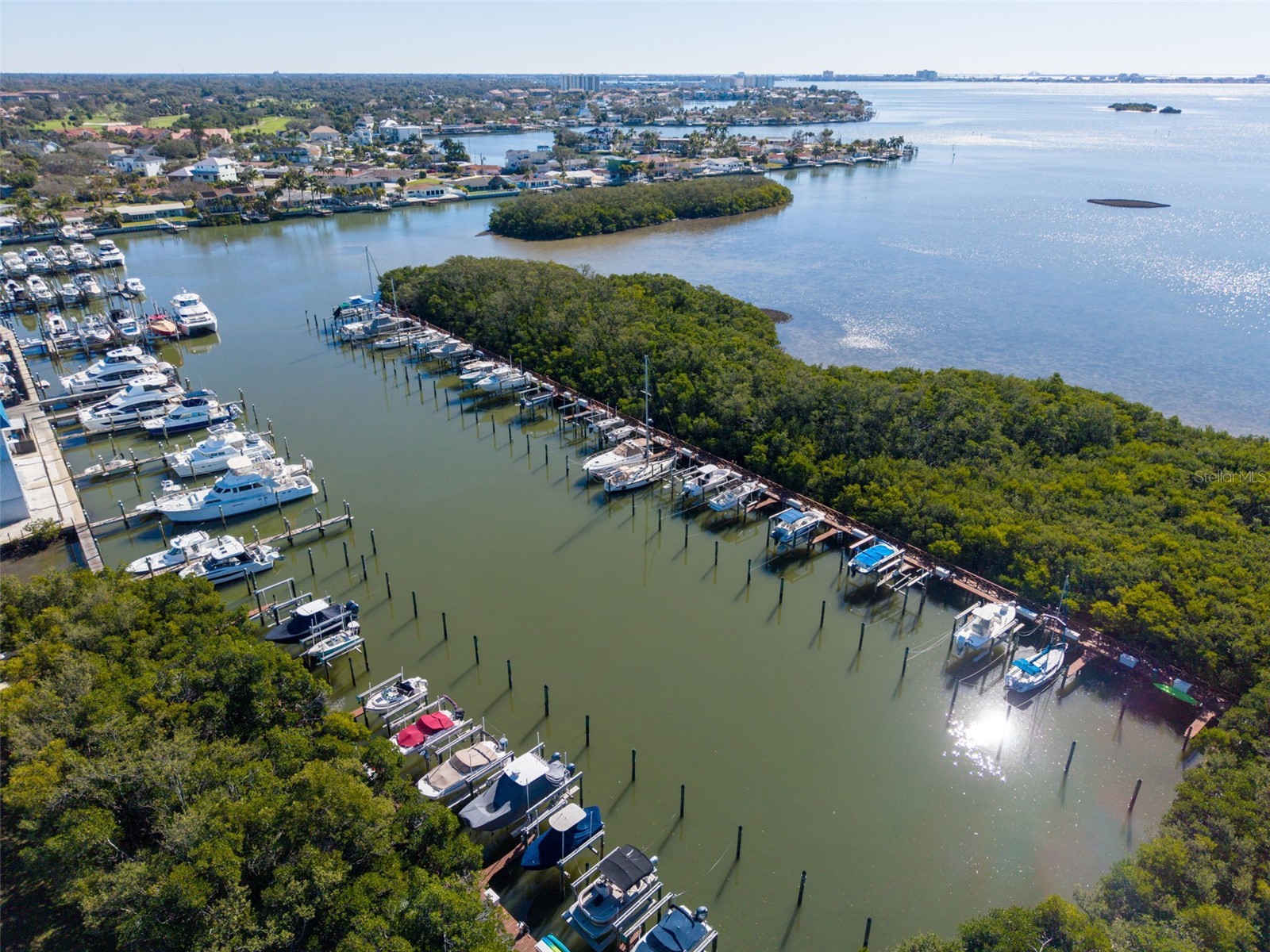 1332 Pasadena Avenue S #205 South Pasadena FL 33707 - BOCA CIEGA BAY TB8463714 image6