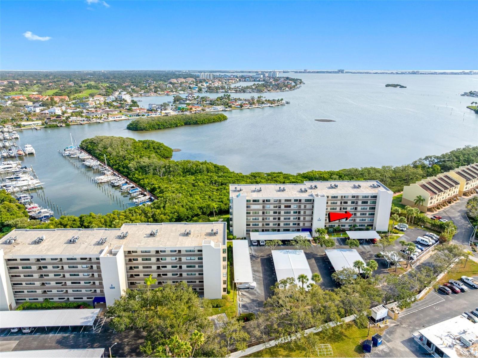 1332 Pasadena Avenue S #307 South Pasadena FL 33707 TB8461770 image1