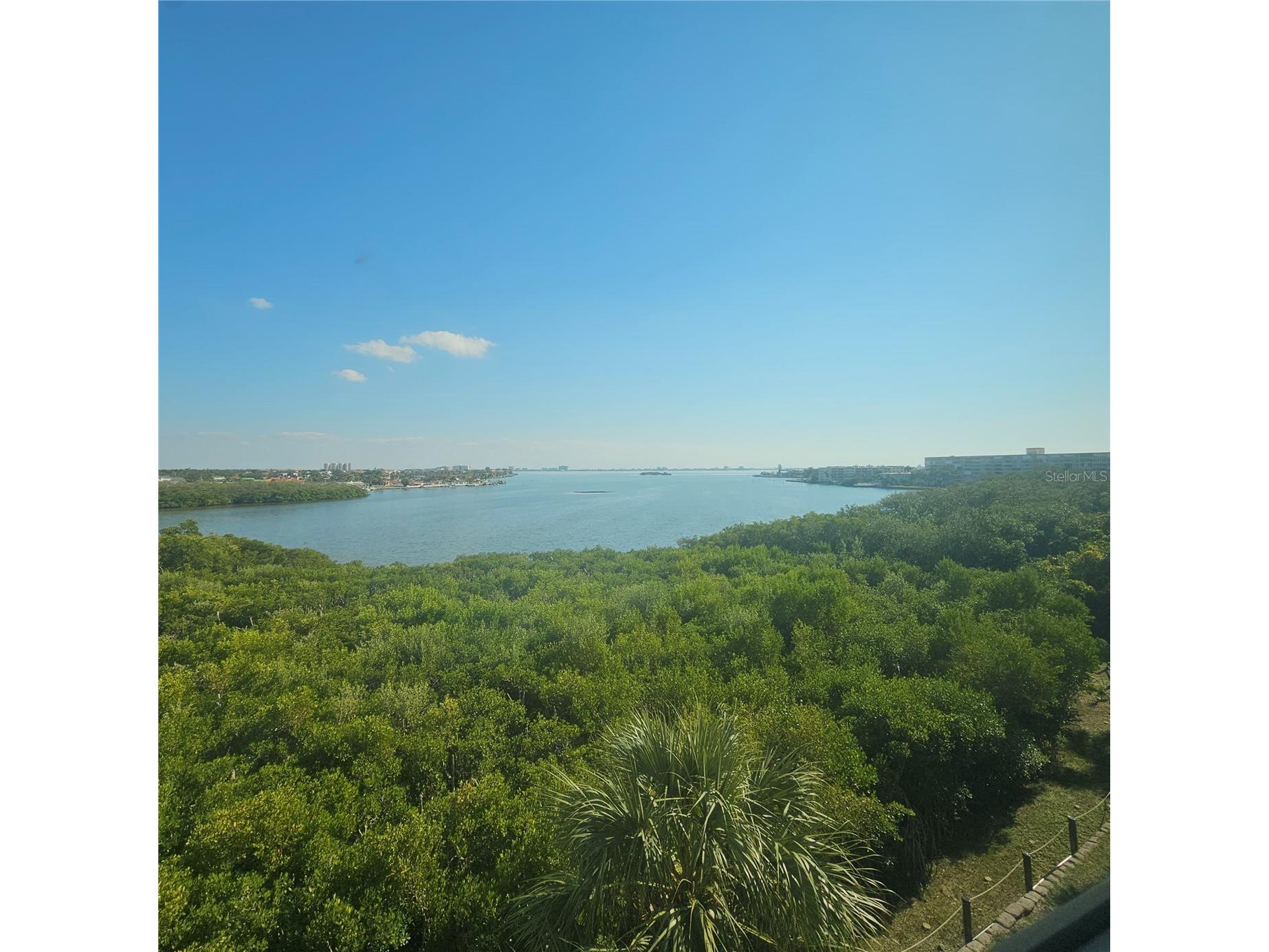 1332 Pasadena Avenue S #501 South Pasadena FL 33707 - BOCA CIEGA BAY TB8452052 image10