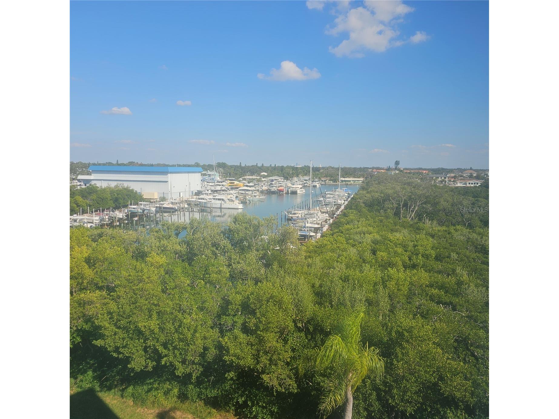 1332 Pasadena Avenue S #501 South Pasadena FL 33707 - BOCA CIEGA BAY TB8452052 image12