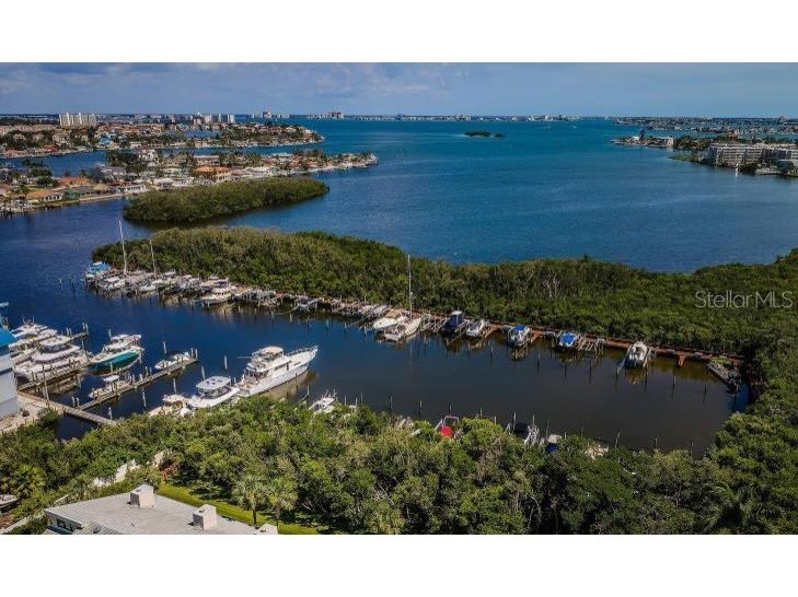 1332 Pasadena Avenue S #501 South Pasadena FL 33707 - BOCA CIEGA BAY TB8452052 image2