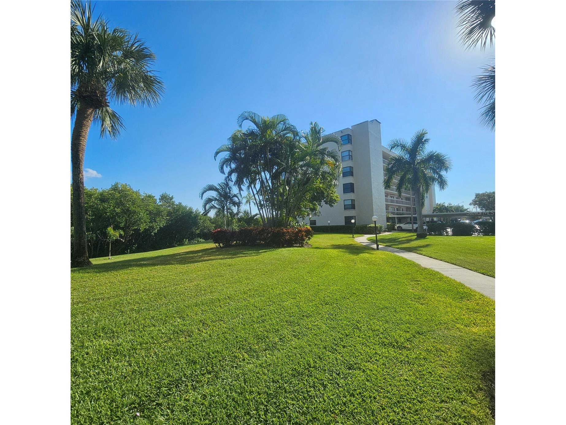 1332 Pasadena Avenue S #501 South Pasadena FL 33707 - BOCA CIEGA BAY TB8452052 image37