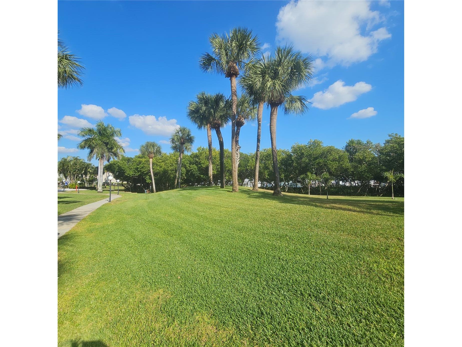 1332 Pasadena Avenue S #501 South Pasadena FL 33707 - BOCA CIEGA BAY TB8452052 image38