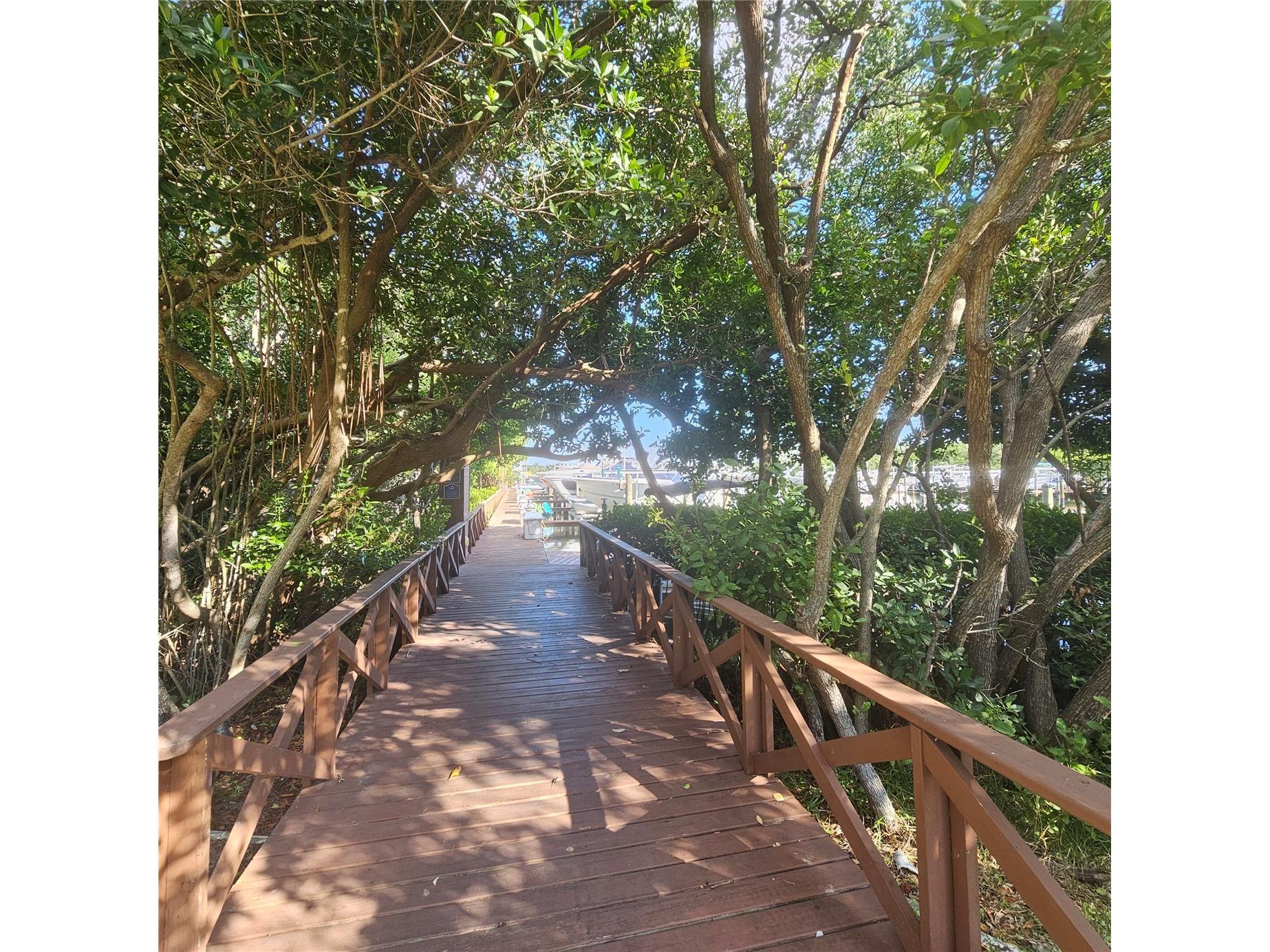 1332 Pasadena Avenue S #501 South Pasadena FL 33707 - BOCA CIEGA BAY TB8452052 image40