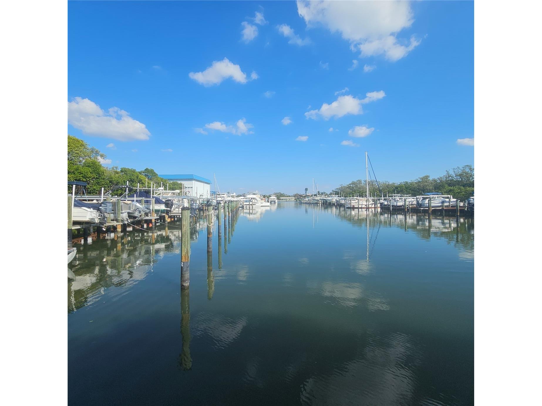 1332 Pasadena Avenue S #501 South Pasadena FL 33707 - BOCA CIEGA BAY TB8452052 image41